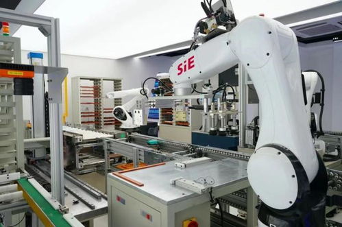 賽意信息2020年度業(yè)績說明會(huì) 智能制造業(yè)務(wù)高速增長，研發(fā)投入驅(qū)動(dòng)智能機(jī)器人創(chuàng)新發(fā)展